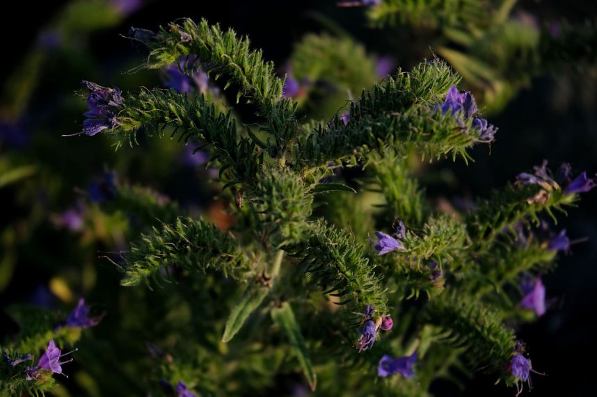 Peter Blei unterwegs am Stausee Kelbra