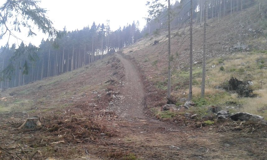 Zum zehnten Mal &uuml;ber den ganzen Harz