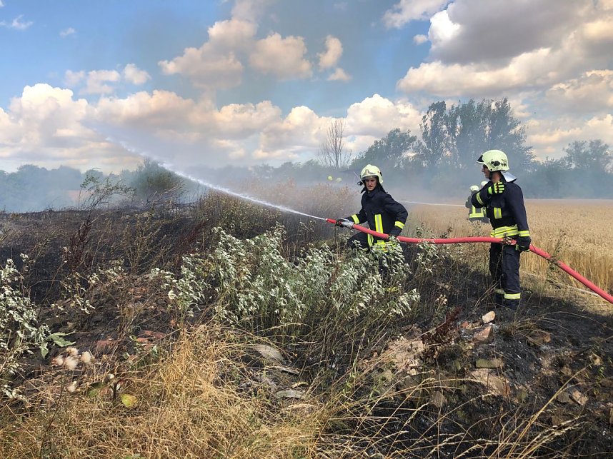 Fl&auml;chenbrand