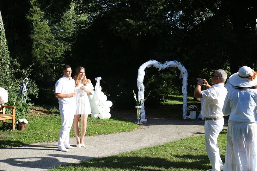Diner en blanc im Park Hohenrode