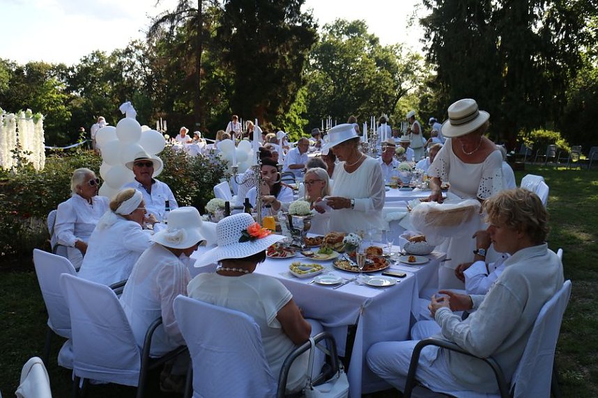 Diner en blanc im Park Hohenrode