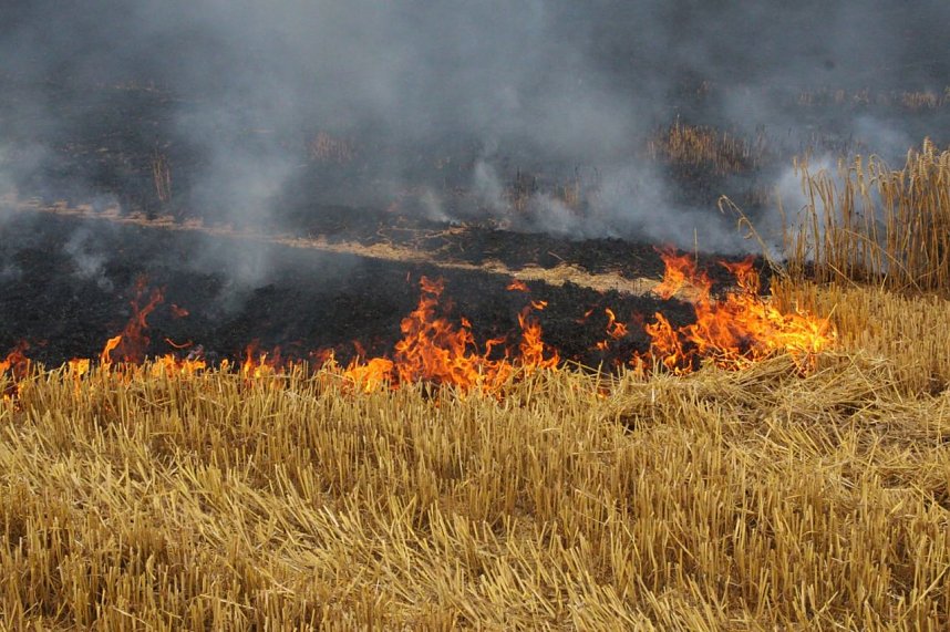 Feldbrand bei Hesserode