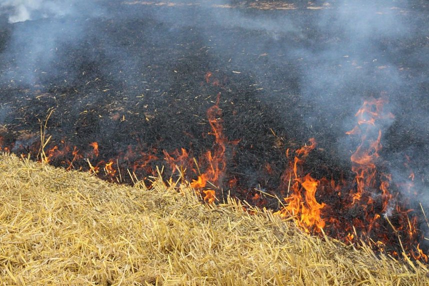 Feldbrand bei Hesserode