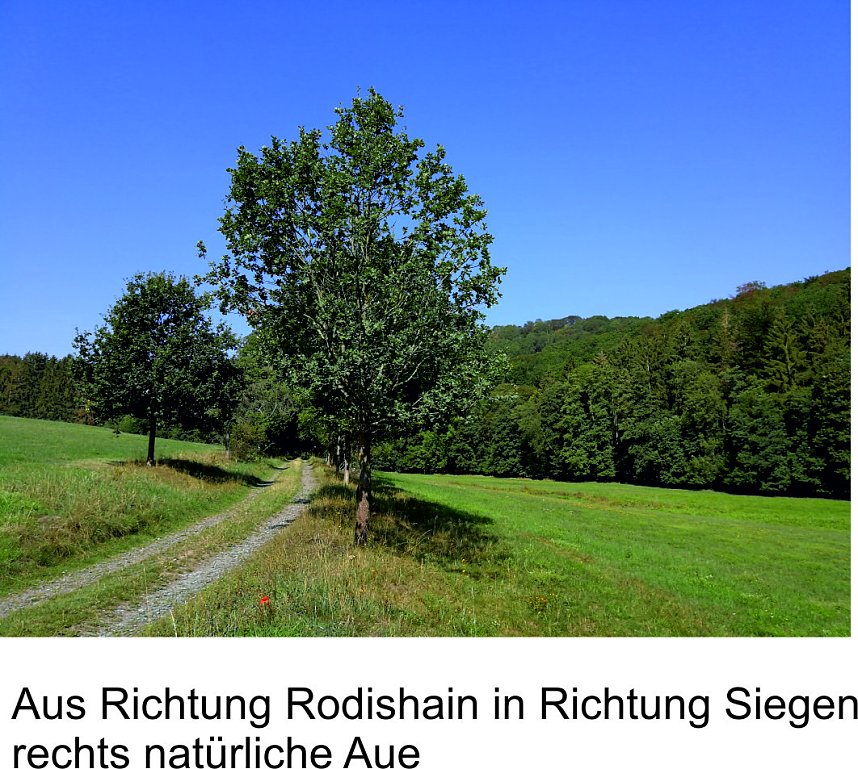 Bilder aus Rodishain