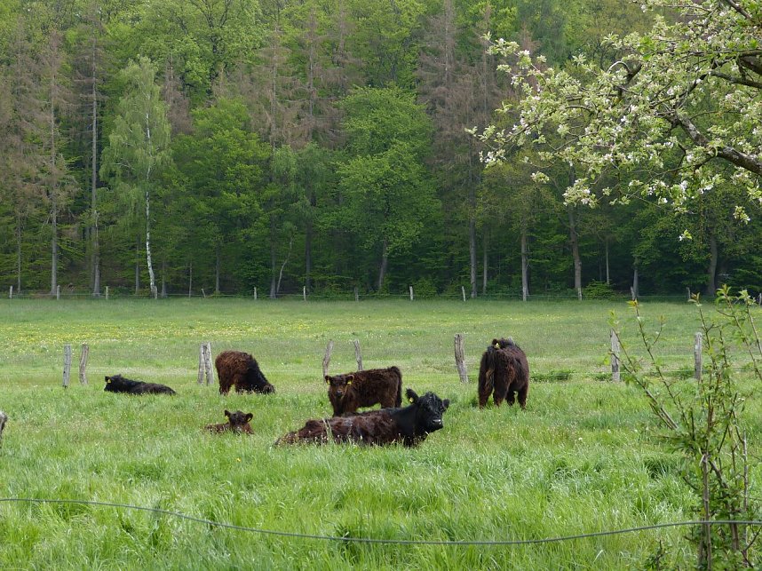 Bilder aus Rodishain