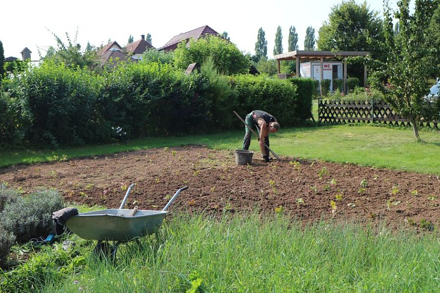 Ein Besuch beim &ouml;kologischen Gartenbau in Salza