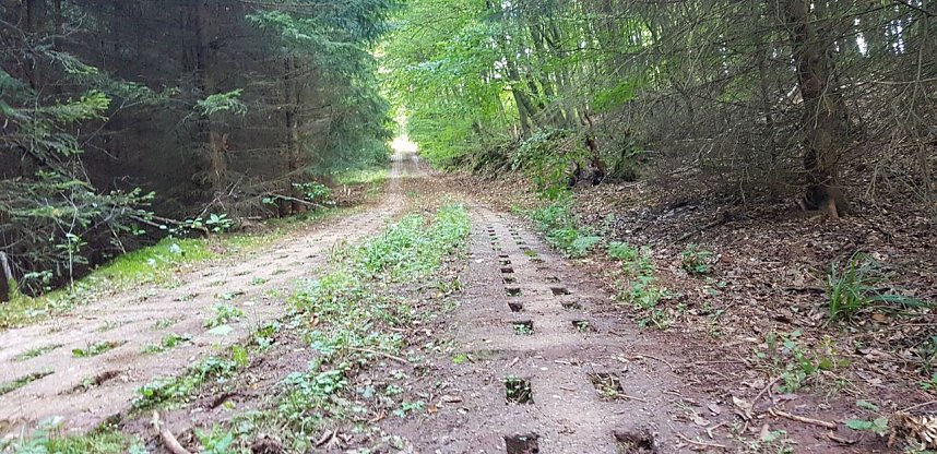 Rettung nach f&uuml;nf Tagen