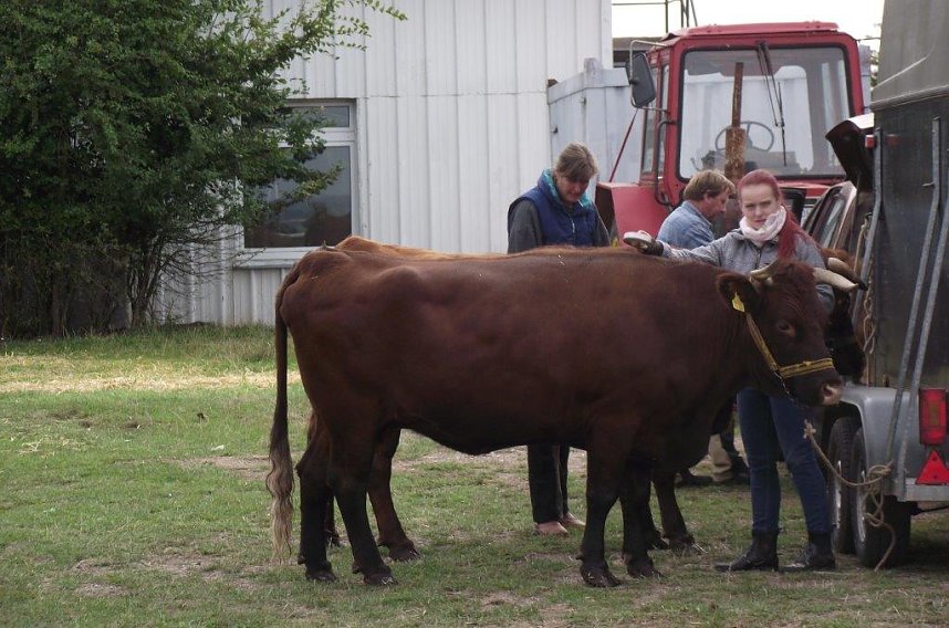 Archetierschau auf der Forstfarm