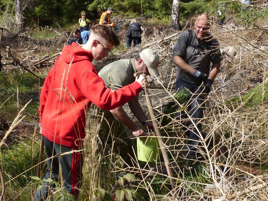 1.000 Stecklinge m&uuml;ssen in die Erde