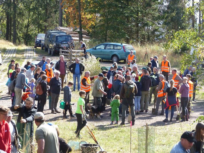 1.000 Stecklinge m&uuml;ssen in die Erde