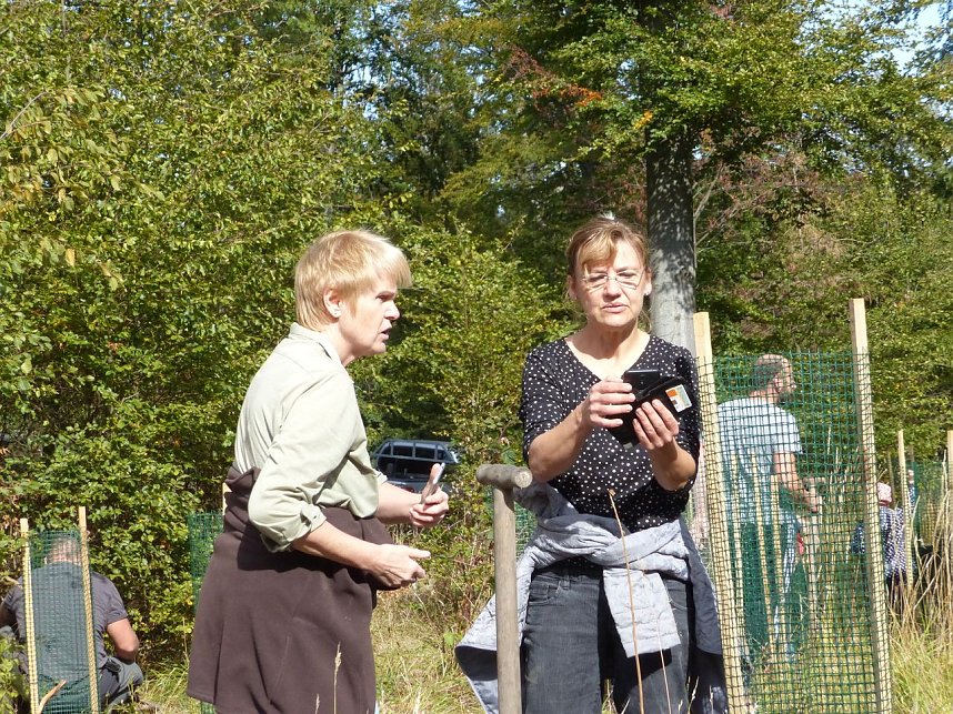 1.000 Wei&szlig;tannen gepflanzt