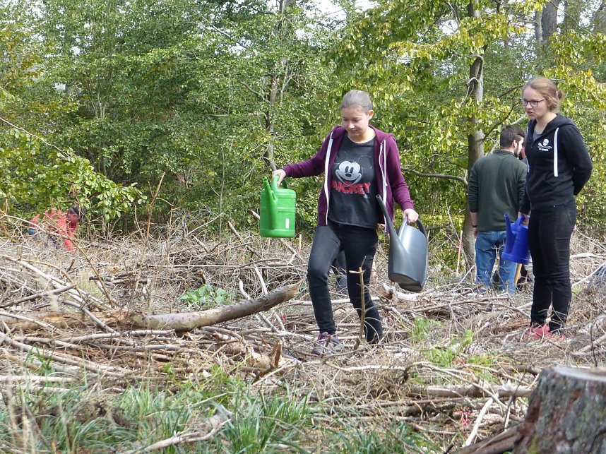 1.000 Wei&szlig;tannen gepflanzt