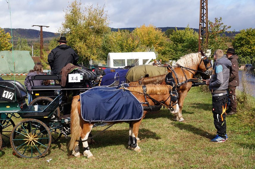 S&uuml;dharz Rallye f&uuml;r Pferdegespanne