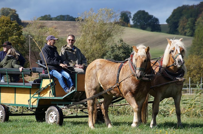 S&uuml;dharz Rallye f&uuml;r Pferdegespanne