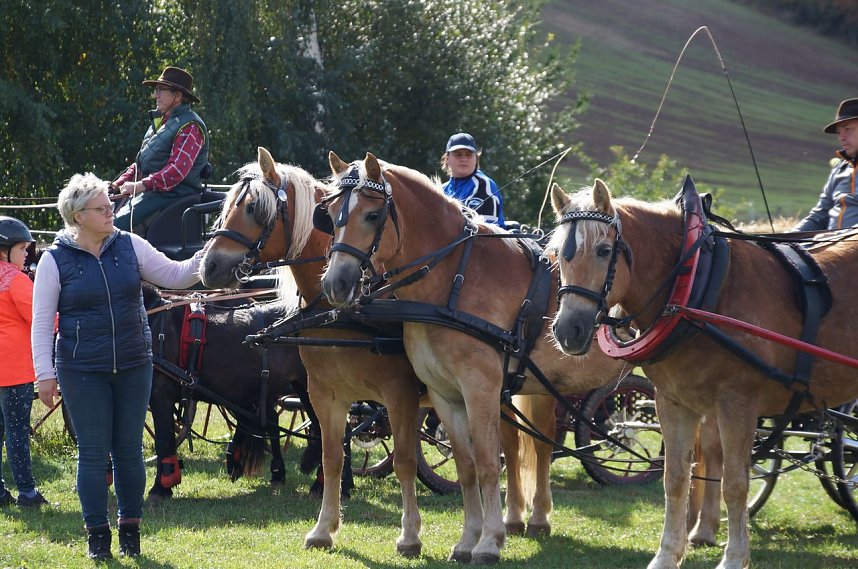 S&uuml;dharz Rallye f&uuml;r Pferdegespanne