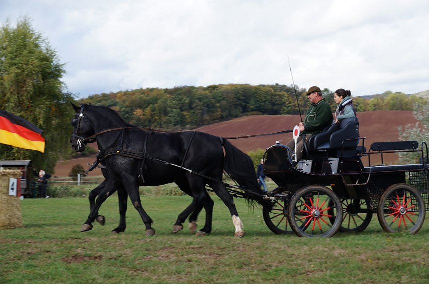 S&uuml;dharz Rallye f&uuml;r Pferdegespanne