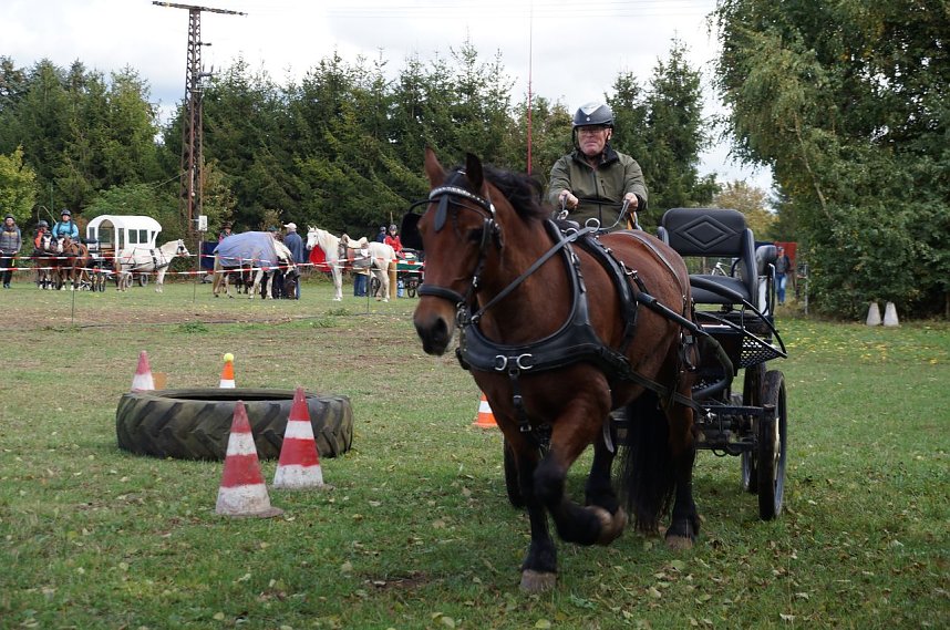 S&uuml;dharz Rallye f&uuml;r Pferdegespanne