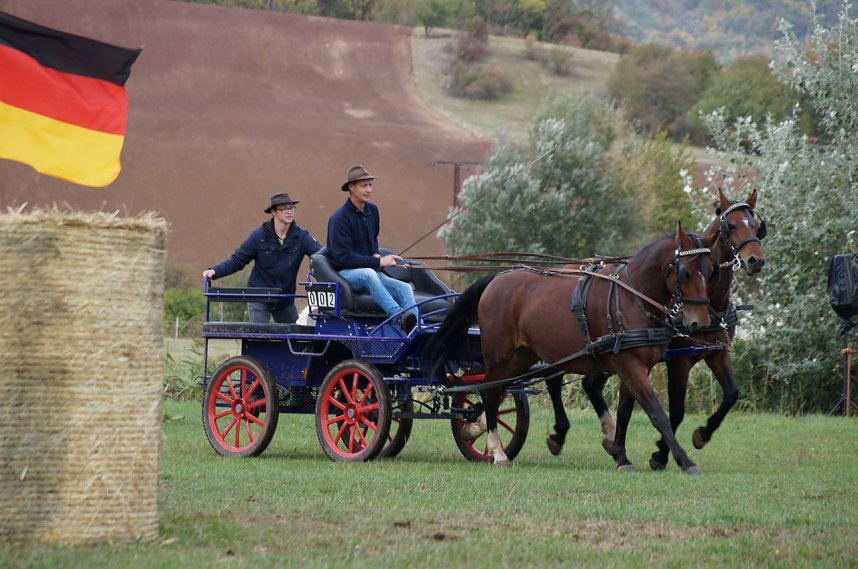 S&uuml;dharz Rallye f&uuml;r Pferdegespanne