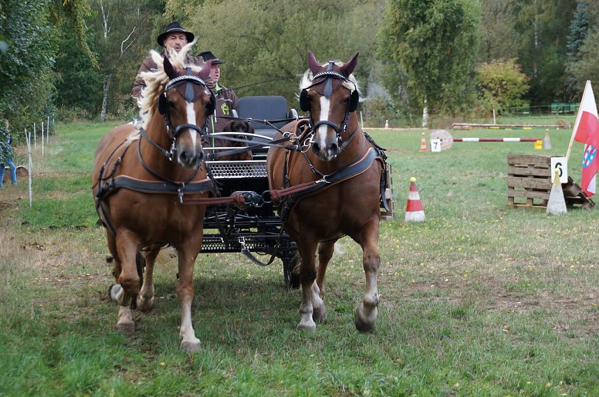 S&uuml;dharz Rallye f&uuml;r Pferdegespanne