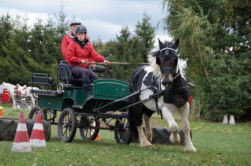 S&uuml;dharz Rallye f&uuml;r Pferdegespanne