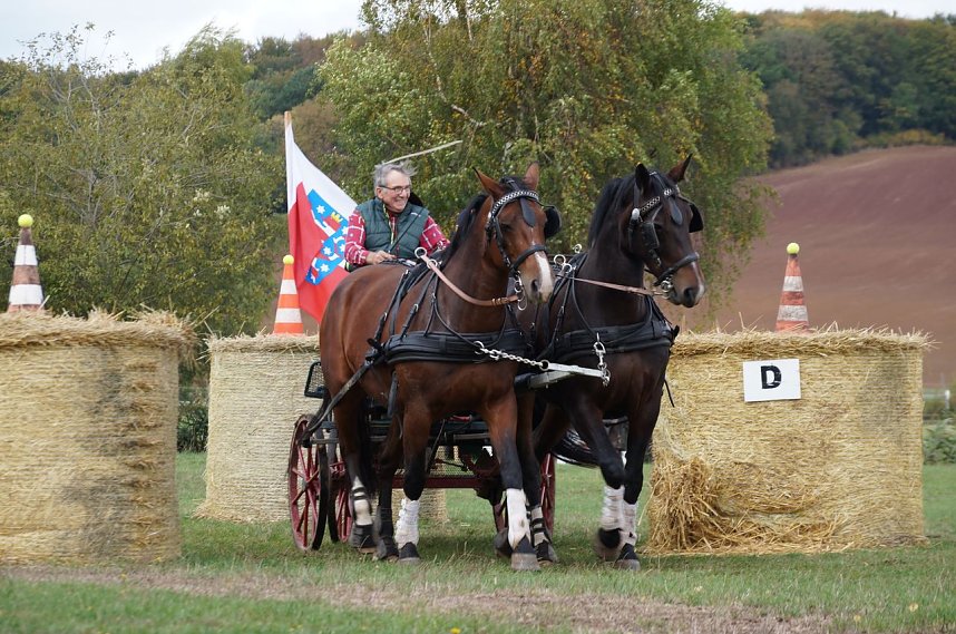 S&uuml;dharz Rallye f&uuml;r Pferdegespanne