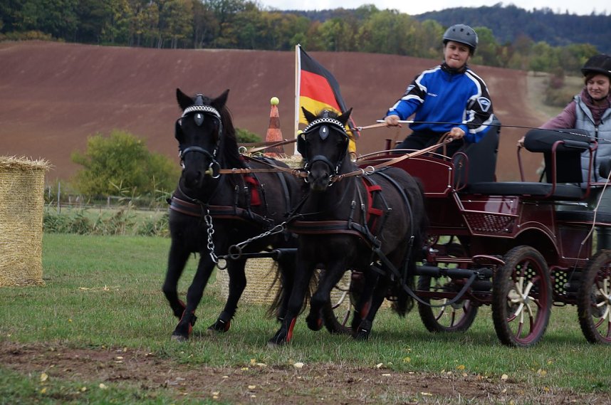 S&uuml;dharz Rallye f&uuml;r Pferdegespanne