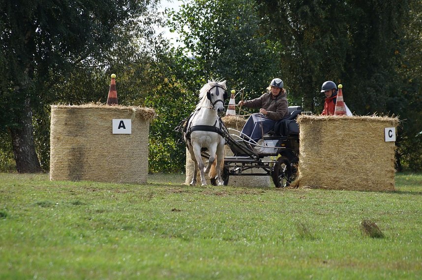 S&uuml;dharz Rallye f&uuml;r Pferdegespanne