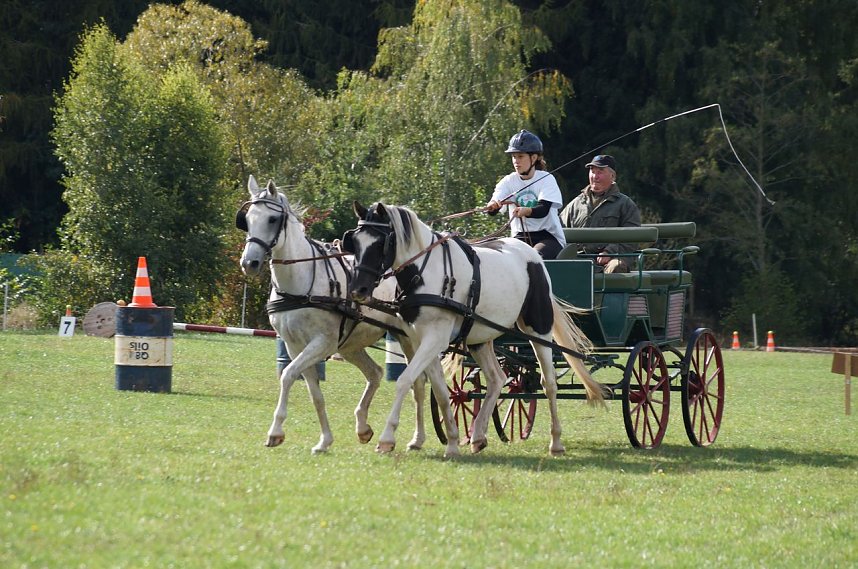 S&uuml;dharz Rallye f&uuml;r Pferdegespanne