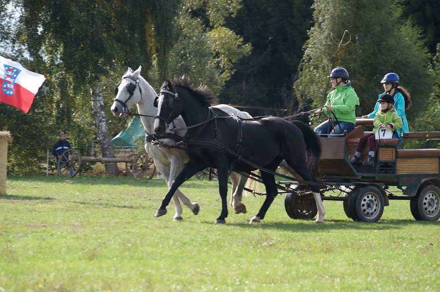 S&uuml;dharz Rallye f&uuml;r Pferdegespanne