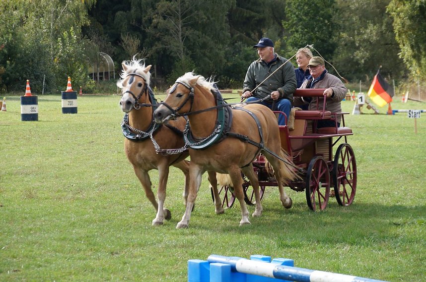 S&uuml;dharz Rallye f&uuml;r Pferdegespanne