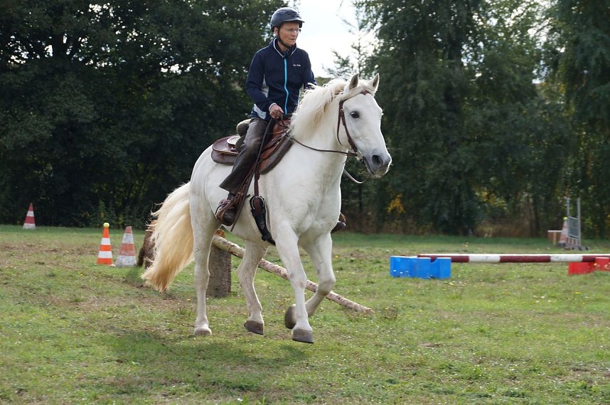 S&uuml;dharz Rallye f&uuml;r Pferdegespanne