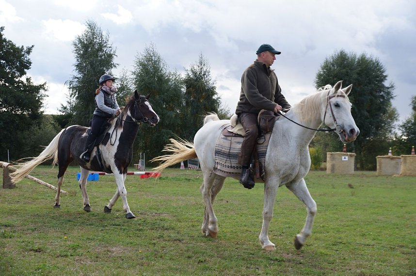 S&uuml;dharz Rallye f&uuml;r Pferdegespanne