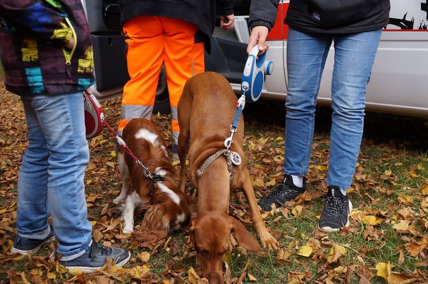 Erntedankfest in Urbach