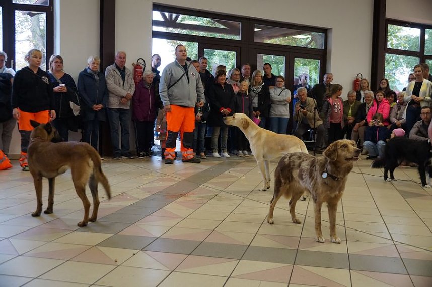 Erntedankfest in Urbach