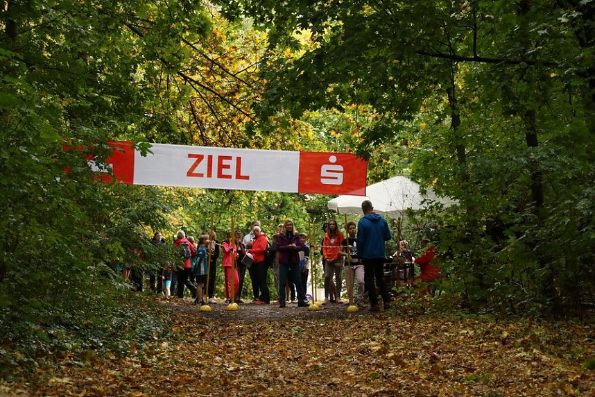 Der Crosslauf der F&ouml;rderzentren am Vormittag