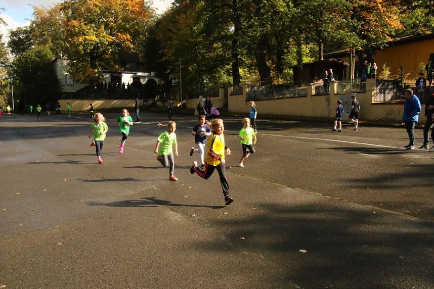 Herbst-Crosslauf im Gehege