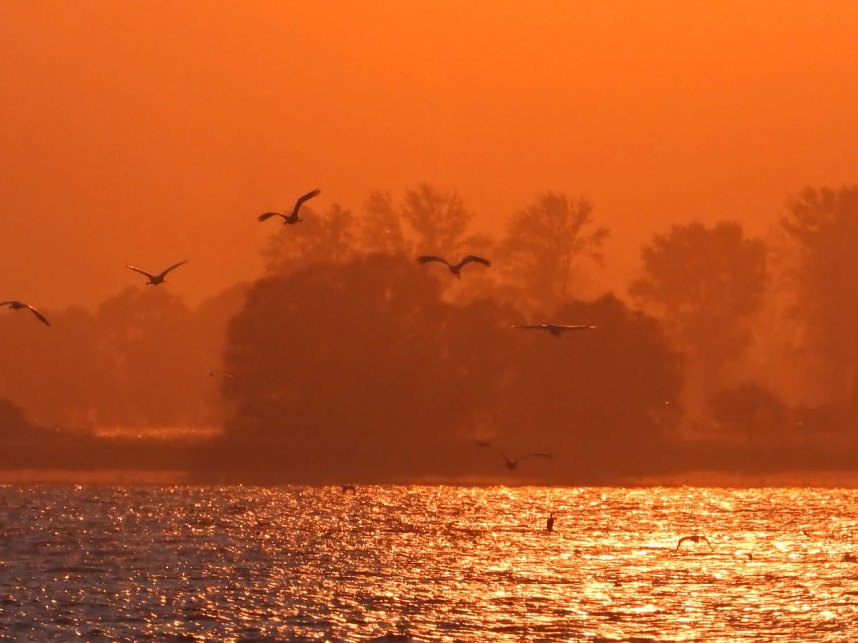 Abendstimmung am Stausee Kelbra