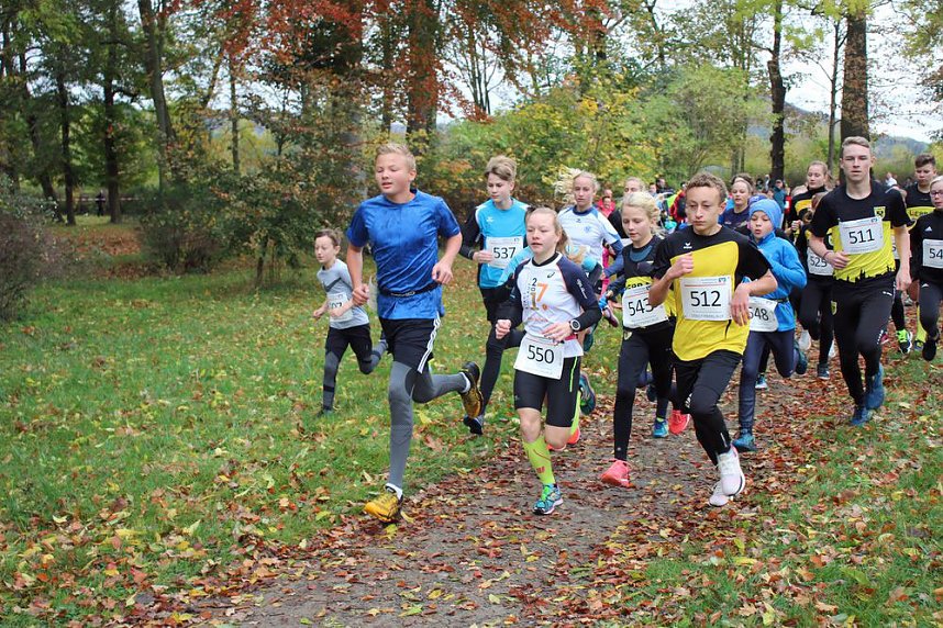 26. Stadtparklauf Sondershausen und...