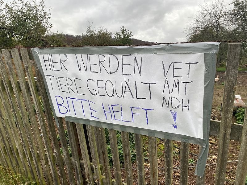 Tierschutzorganisation erhebt Vorw&uuml;rfe gegen Hundez&uuml;chterin aus Bleicherode