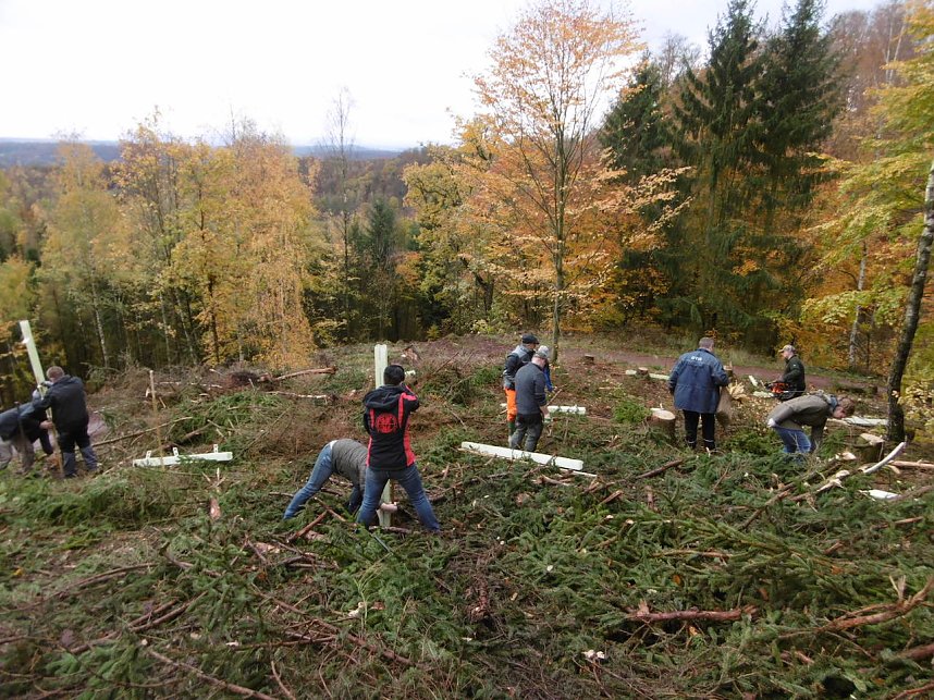 Pflanzaktion Appenrode