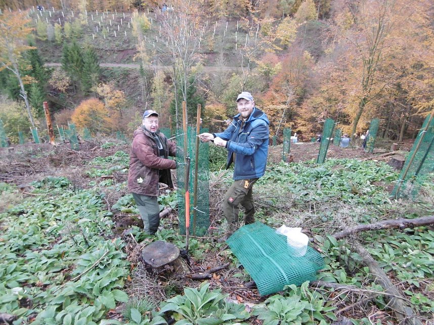 Pflanzaktion Appenrode