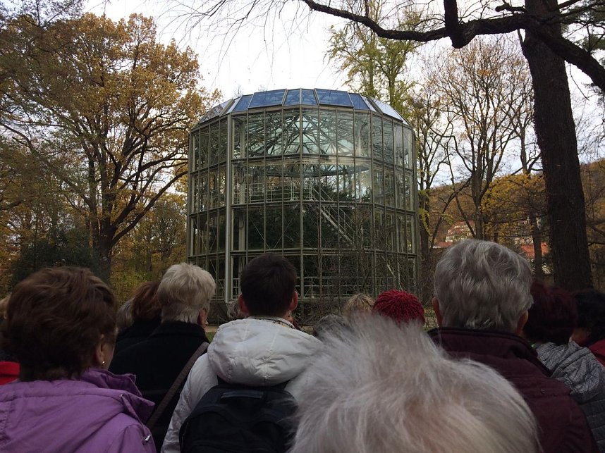 Fahrt ins Blaue mit Brauer Reisen