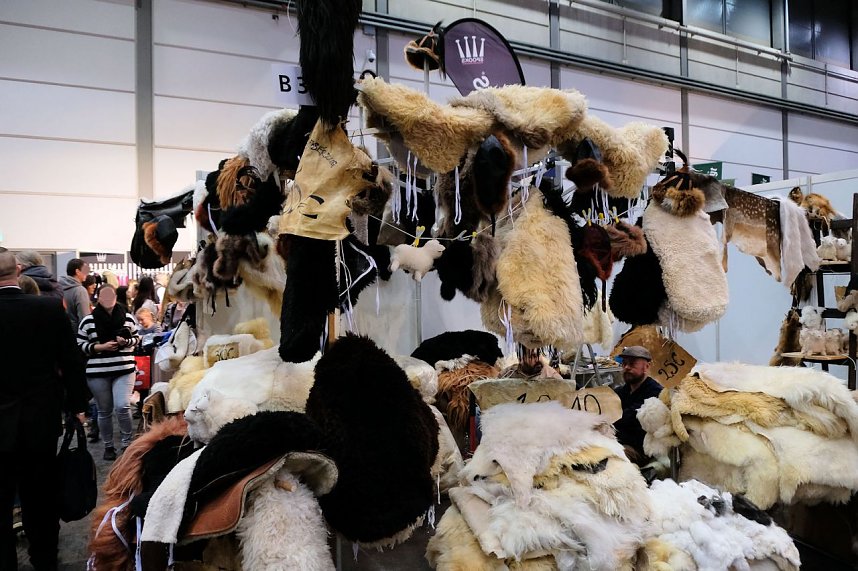 Peter Blei auf der "Partner Pferd" in Leipzig