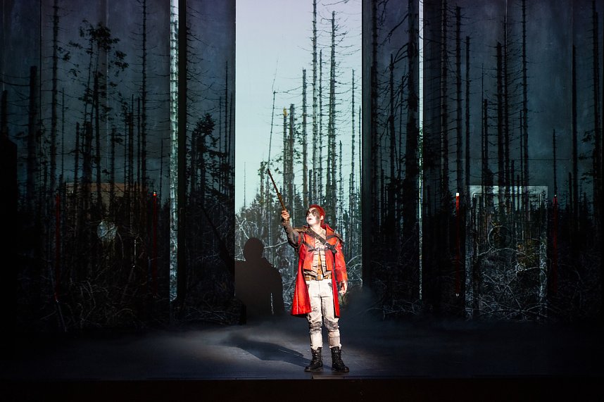 Die Zauberfl&ouml;te