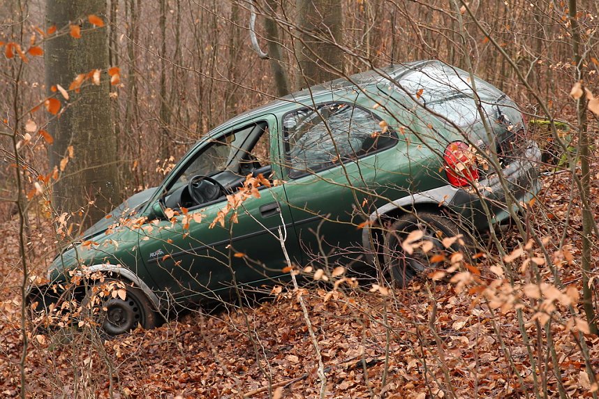 auto im Wald