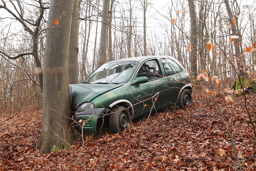 auto im Wald