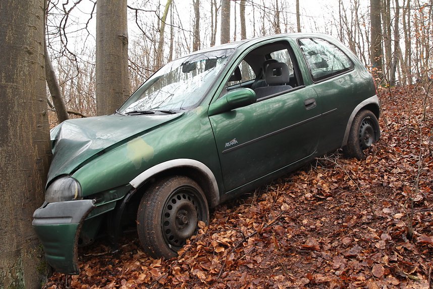 auto im Wald