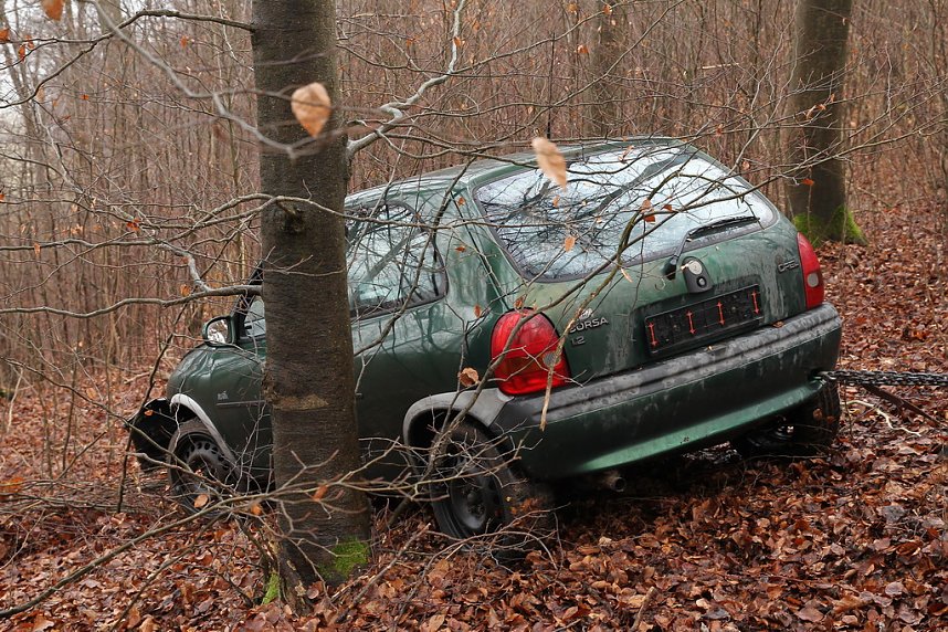 auto im Wald