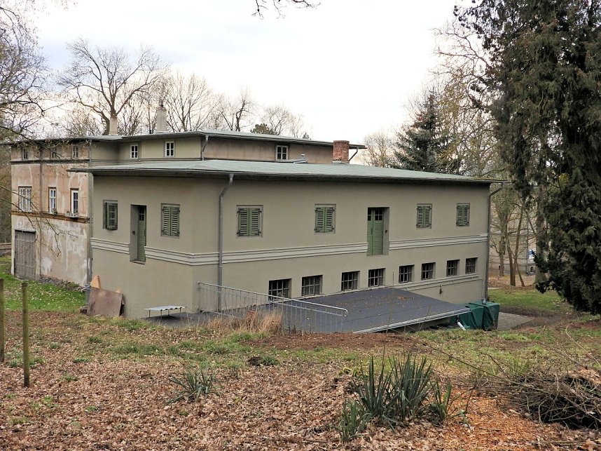 Winterlinge im Februar