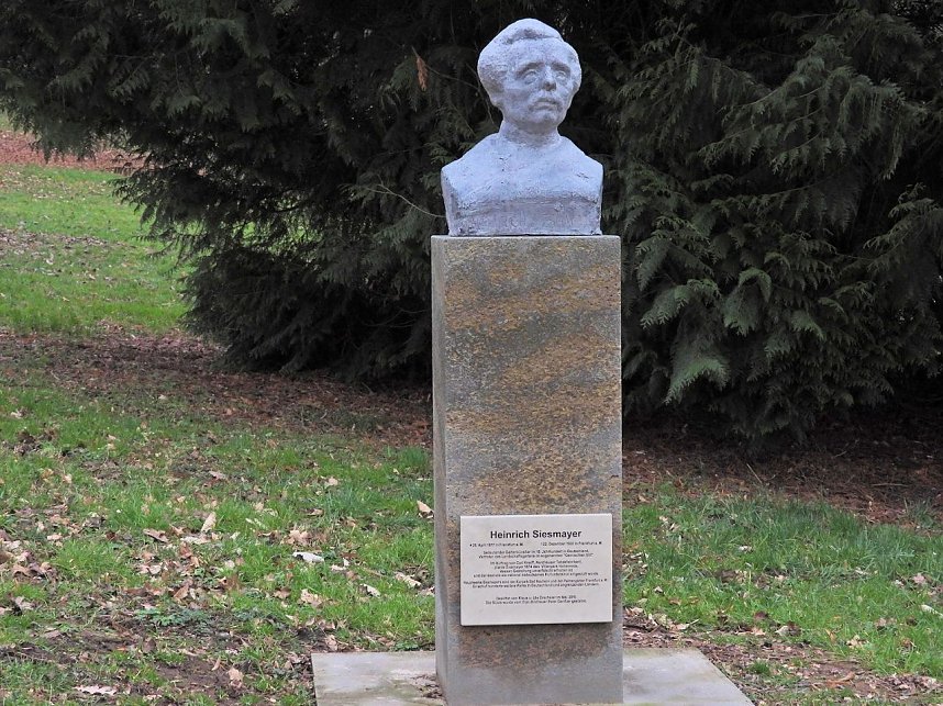 Winterlinge im Februar